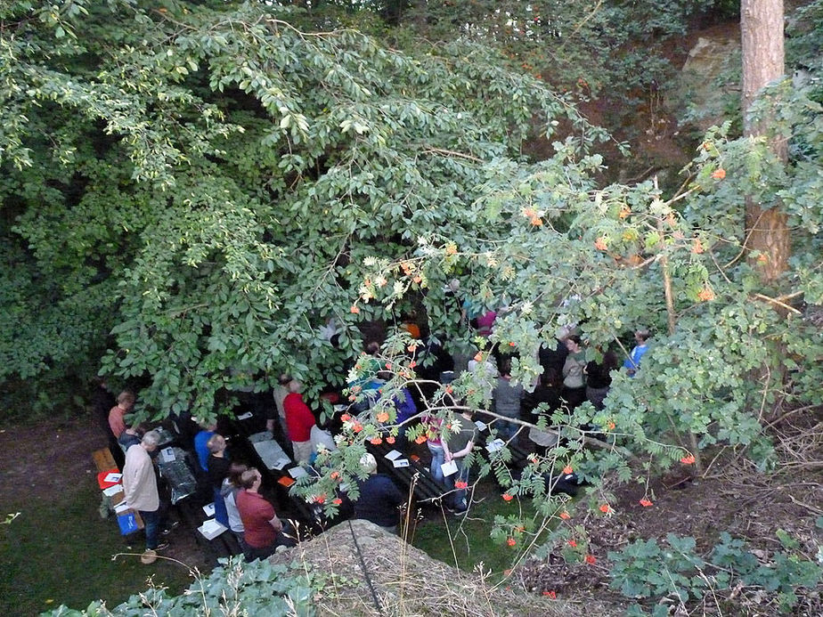 Wallfahrer aus Meschede besuchten die Fatima Grotte (Foto: Karl-Franz Thiede)